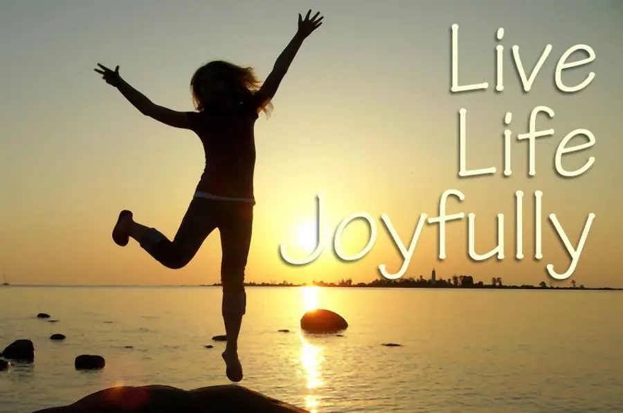Characteristics of Joy