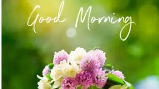 Have A Wonderful And Blessed Day 113 Highly-Refreshing Good Morning Have A Blessed Day Quotes, Messages, And  Prayers - Fospath
