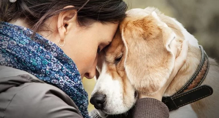 62 Consoling Ways on How To Comfort Someone Who Lost A Pet Over Text