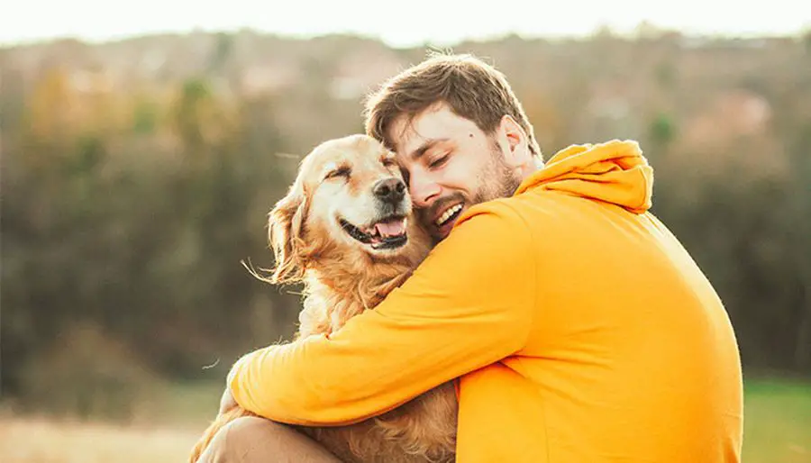 86 Goodbye Message To My Dog Who Passed Away Fospath