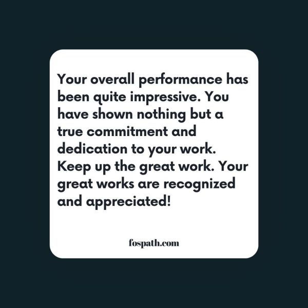 83 Overall Performance Comments, Evaluations and Appraisals for Staff or Workers