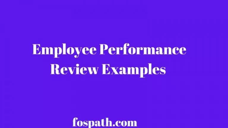50 Employee Performance Review Examples