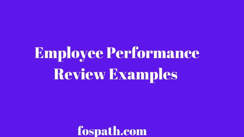 Employee Performance Review Examples